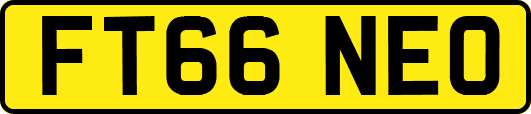 FT66NEO