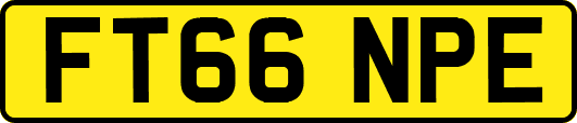 FT66NPE