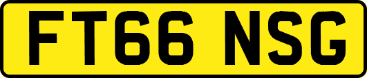 FT66NSG