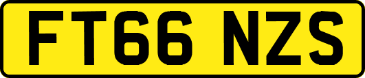 FT66NZS