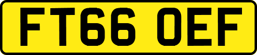 FT66OEF
