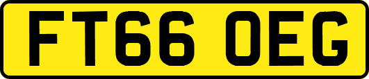 FT66OEG