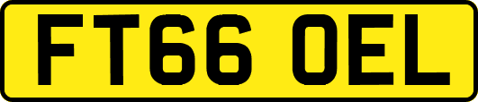 FT66OEL