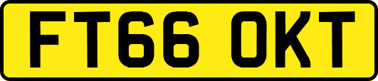 FT66OKT