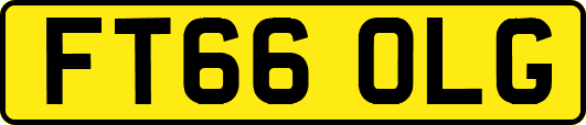 FT66OLG