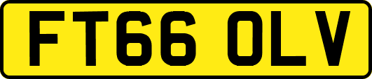 FT66OLV