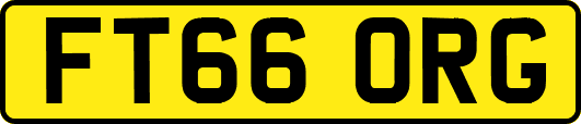 FT66ORG