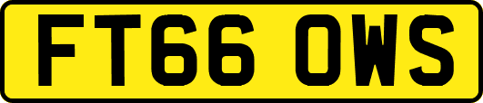 FT66OWS