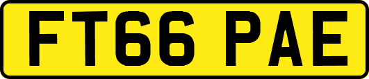 FT66PAE
