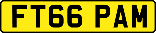 FT66PAM