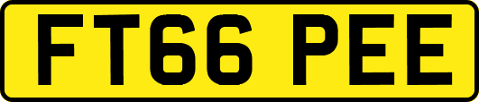 FT66PEE
