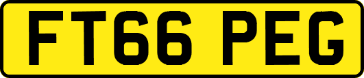 FT66PEG