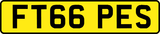 FT66PES