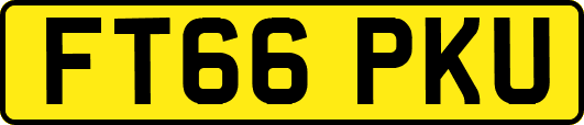 FT66PKU