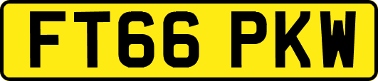 FT66PKW