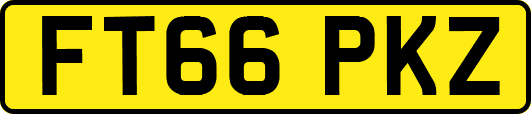 FT66PKZ
