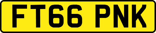 FT66PNK