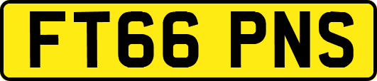 FT66PNS