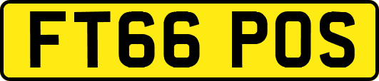 FT66POS