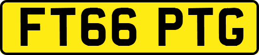 FT66PTG