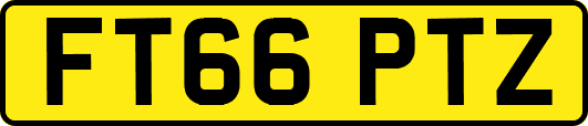 FT66PTZ