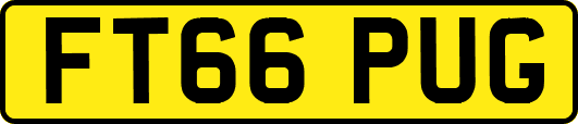 FT66PUG