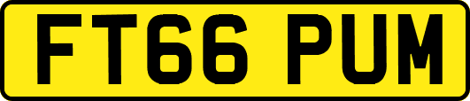 FT66PUM
