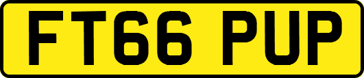 FT66PUP