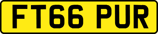 FT66PUR