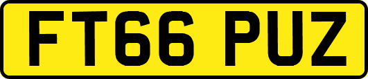 FT66PUZ