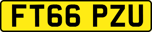 FT66PZU