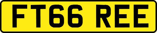 FT66REE