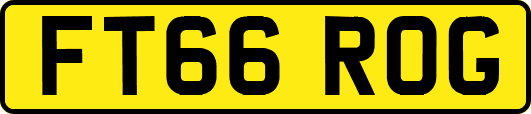FT66ROG