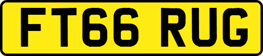 FT66RUG