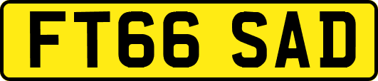 FT66SAD