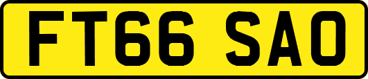 FT66SAO