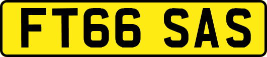 FT66SAS