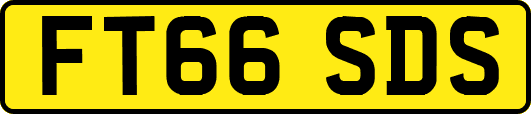 FT66SDS
