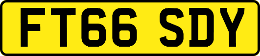 FT66SDY