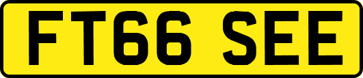 FT66SEE