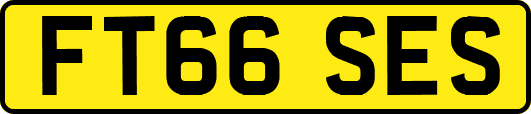 FT66SES