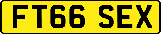 FT66SEX