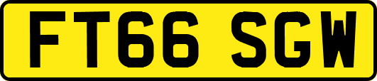 FT66SGW
