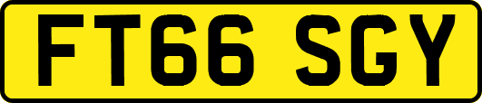 FT66SGY