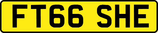 FT66SHE