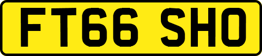 FT66SHO