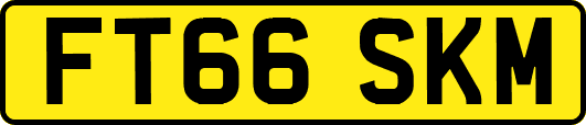 FT66SKM