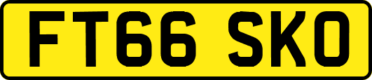 FT66SKO