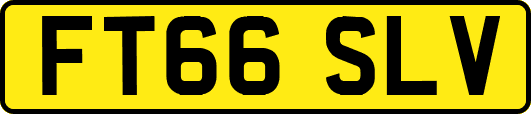 FT66SLV