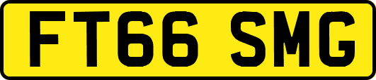 FT66SMG